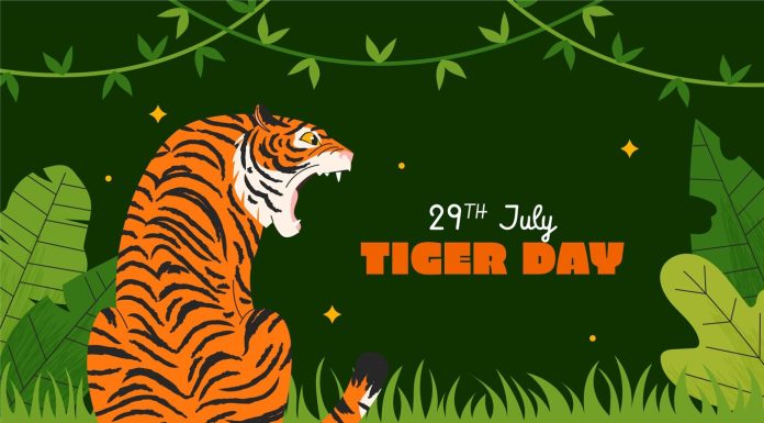 International Tiger Day 2024: Striving To Save Our Stripes – Know The Date, Theme, History, And Significance
