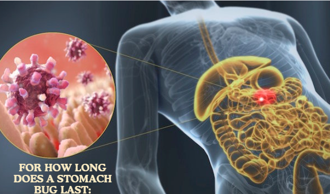 How Long Does A Stomach Bug Last: Everything You Should Know About It! how long does a stomach bug last