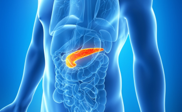 Can You Live Without a Pancreas? | Here’s All You Need To Know can you live without a pancreas