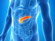 Can You Live Without a Pancreas? | Here’s All You Need To Know can you live without a pancreas