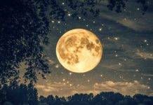 The Moon is Beautiful, Isn’t It? – A Deep Dive into Its Meaning and Cultural Significance