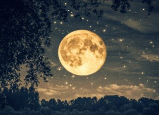 The Moon is Beautiful, Isn’t It? – A Deep Dive into Its Meaning and Cultural Significance