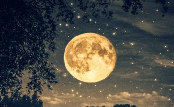 The Moon is Beautiful, Isn’t It? – A Deep Dive into Its Meaning and Cultural Significance