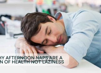 Why afternoon naps are a sign of health not laziness Why afternoon naps are a sign of health not laziness