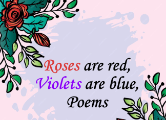 Roses Are Red, Violets Are Blue Poems More Than Just A Rhyme