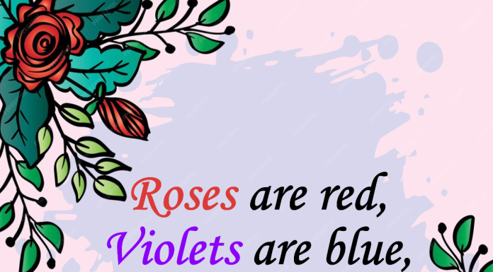 Roses Are Red, Violets Are Blue Poems More Than Just A Rhyme