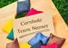 Top 90+ Cornhole Team Names: Funny, Dirty, and Clever Options cornhole team names