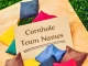 Top 90+ Cornhole Team Names: Funny, Dirty, and Clever Options cornhole team names