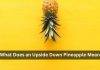 What Does an Upside Down Pineapple Mean? Uncover Its Significance What Does an Upside Down Pineapple Mean
