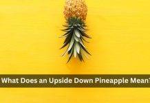 What Does an Upside Down Pineapple Mean? Uncover Its Significance What Does an Upside Down Pineapple Mean