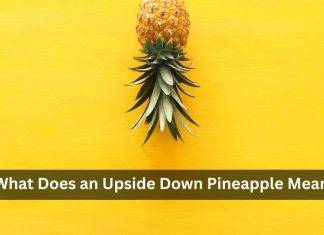 What Does an Upside Down Pineapple Mean? Uncover Its Significance What Does an Upside Down Pineapple Mean