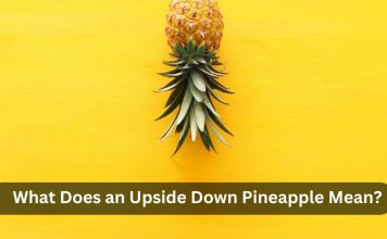 What Does an Upside Down Pineapple Mean? Uncover Its Significance What Does an Upside Down Pineapple Mean