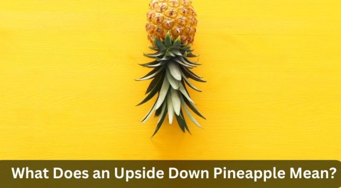 What Does an Upside Down Pineapple Mean? Uncover Its Significance What Does an Upside Down Pineapple Mean