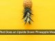 What Does an Upside Down Pineapple Mean? Uncover Its Significance What Does an Upside Down Pineapple Mean