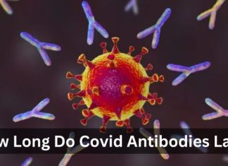 How Long Do Covid Antibodies Last? How Long Do Covid Antibodies Last