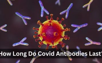 How Long Do Covid Antibodies Last? How Long Do Covid Antibodies Last