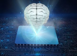 What Is the Lowest IQ Ever Recorded? Facts Nobody Tells You what is the lowest iq ever recorded