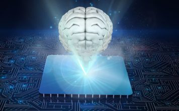 What Is the Lowest IQ Ever Recorded? Facts Nobody Tells You what is the lowest iq ever recorded
