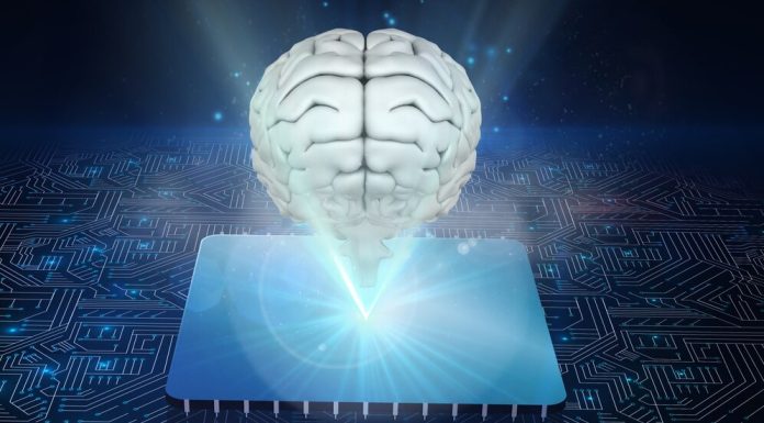 What Is the Lowest IQ Ever Recorded? Facts Nobody Tells You what is the lowest iq ever recorded