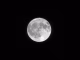 Why Can We See The Moon During The Day: Moon Mystery Solved why can we see the moon during the day