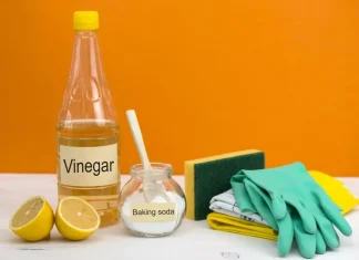 Can I Use Apple Cider Vinegar To Clean Household Items? can i use apple cider vinegar to clean