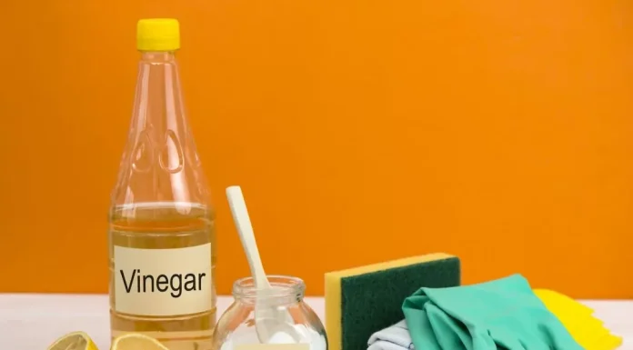 Can I Use Apple Cider Vinegar To Clean Household Items? can i use apple cider vinegar to clean