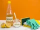Can I Use Apple Cider Vinegar To Clean Household Items? can i use apple cider vinegar to clean